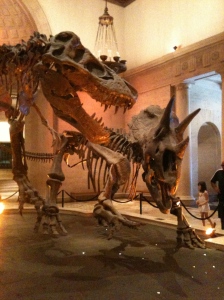 Dinosaur Bones in LA Natural History Museum